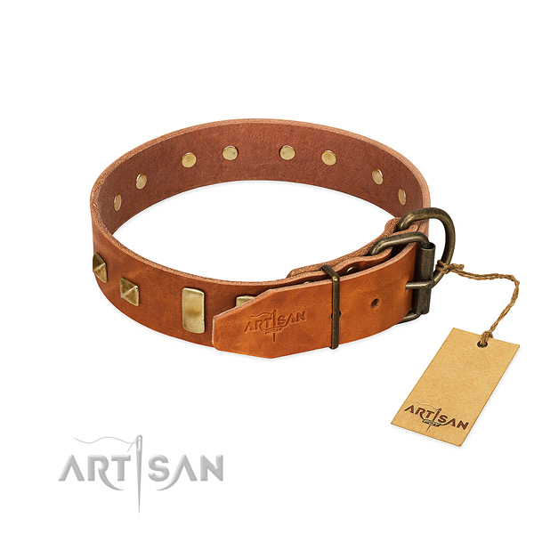 Reliable natural leather dog collar with rust resistant hardware