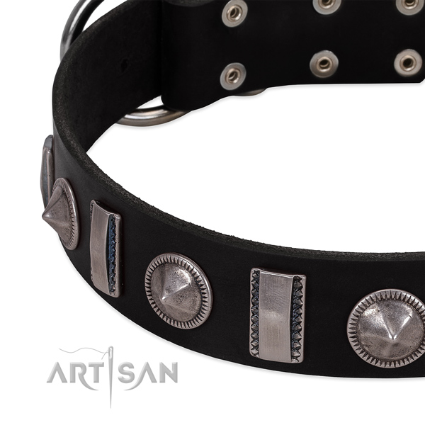 Unique studded full grain genuine leather dog collar for walking