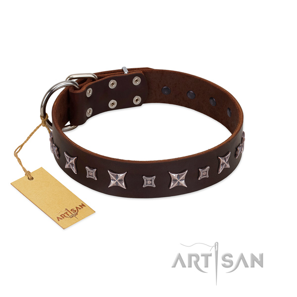 Quality full grain leather dog collar with unique decorations