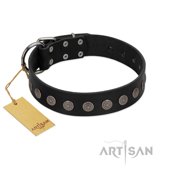 Designer natural leather collar for your canine