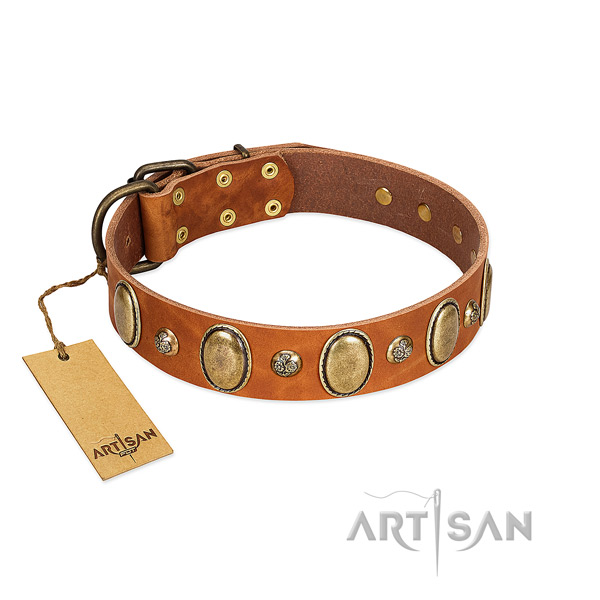 Full grain genuine leather dog collar of top notch material with incredible embellishments