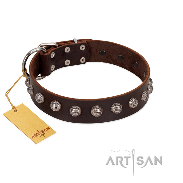 Durable fittings on unusual leather dog collar