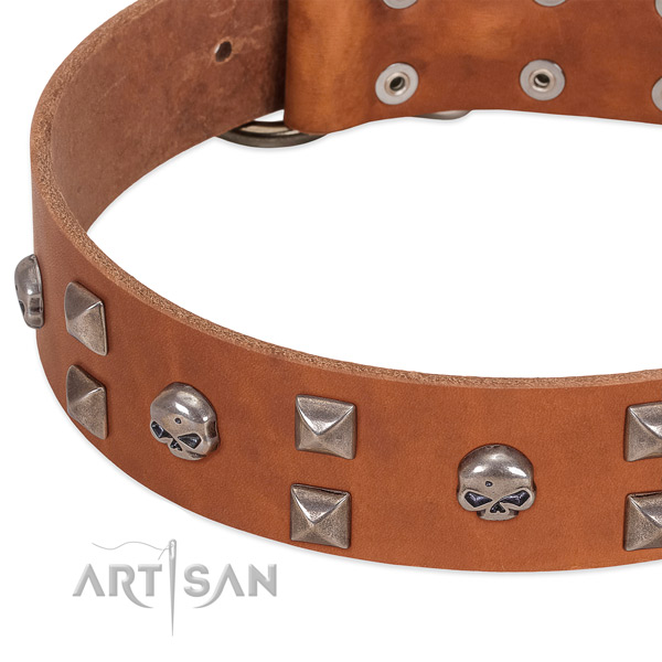 Durable full grain leather dog collar handmade for your canine