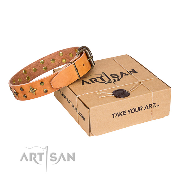 Daily use dog collar of fine quality full grain leather with decorations