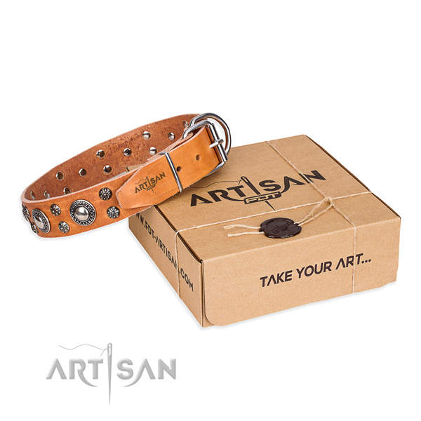 Comfortable wearing dog collar of strong full grain leather with decorations