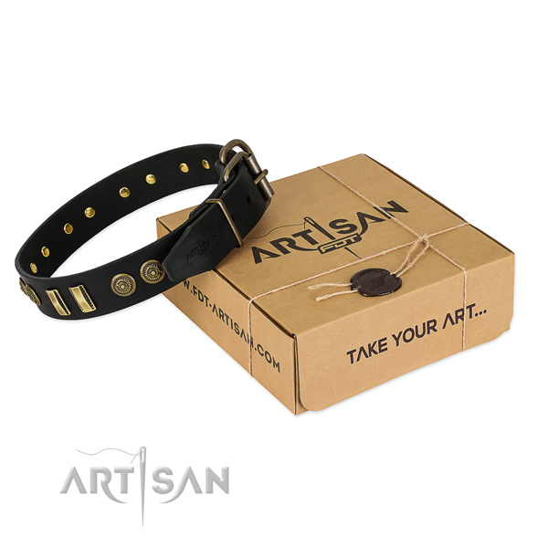 Reliable traditional buckle on natural leather dog collar for your canine