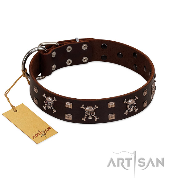 Full grain leather dog collar with stylish design decorations