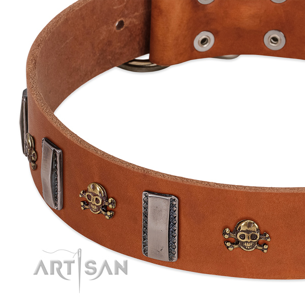 Exceptional adornments on full grain leather dog collar for handy use
