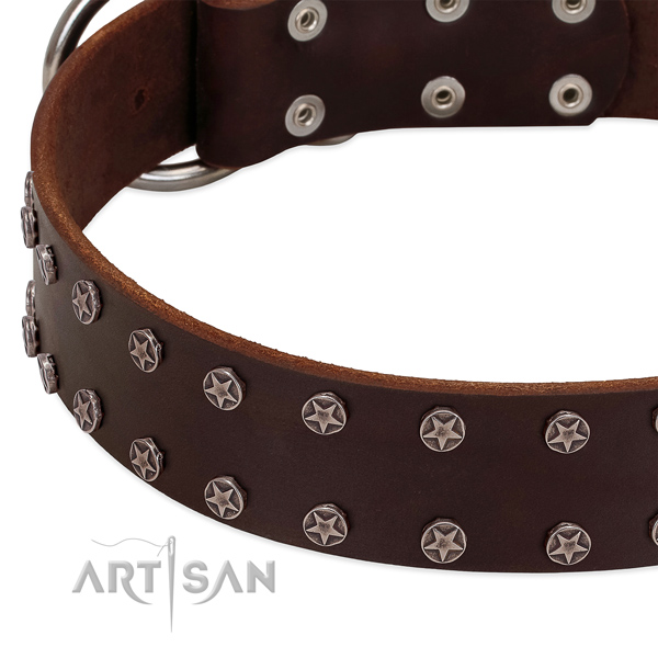 Soft full grain leather dog collar with decorations for your pet