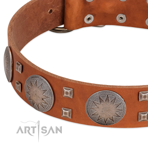 Daily use high quality leather dog collar