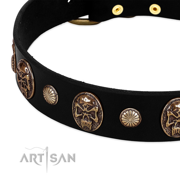 Natural leather dog collar with impressive embellishments
