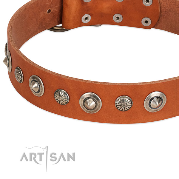 Full grain leather collar with rust resistant D-ring for your impressive four-legged friend