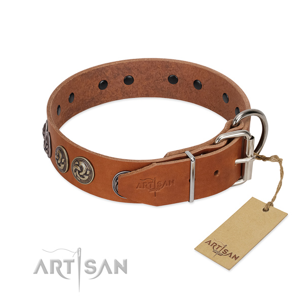 Corrosion proof D-ring on handmade full grain leather dog collar