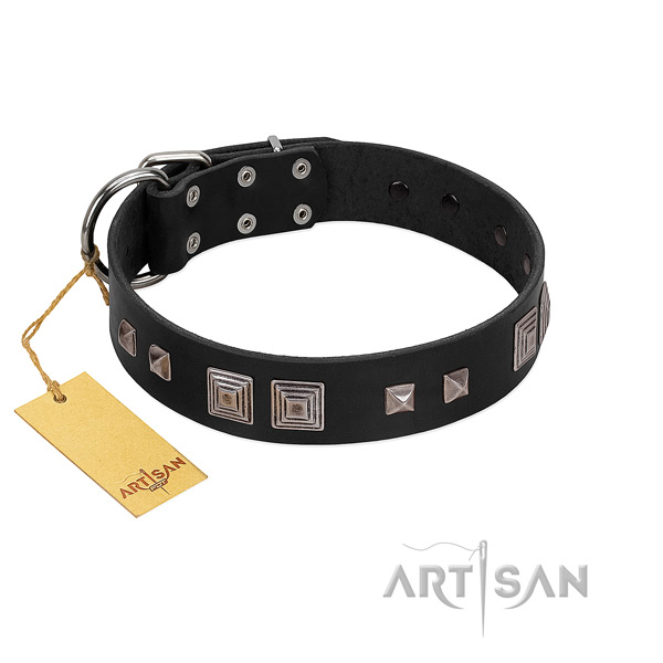 Rust-proof buckle on full grain natural leather dog collar for daily use