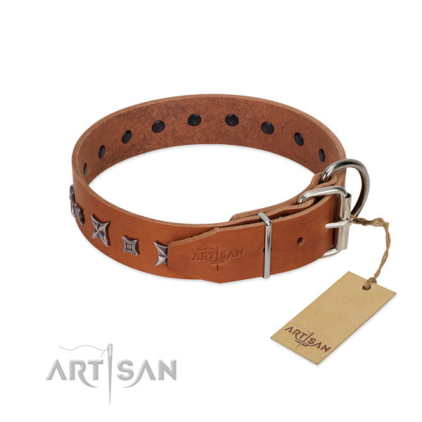 Leather dog collar with extraordinary adornments handmade doggie