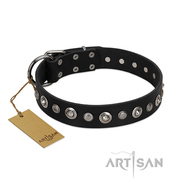 Top notch leather dog collar with inimitable adornments