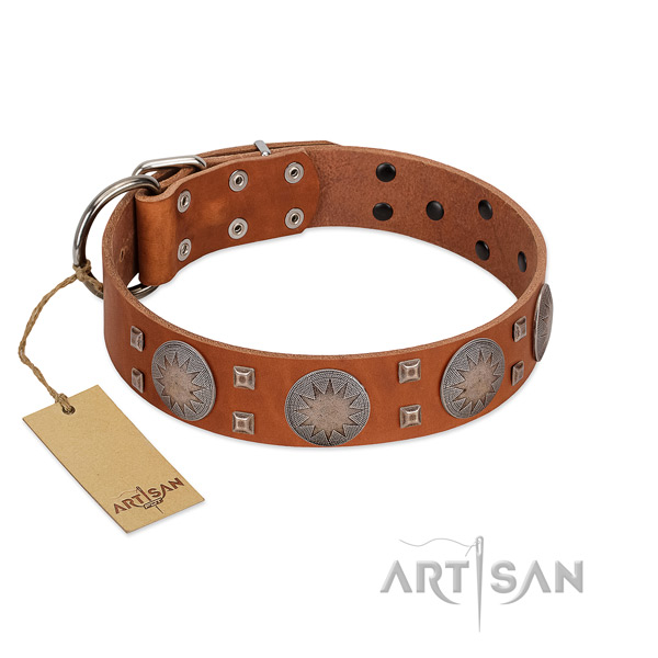 Adorned genuine leather collar for your attractive dog