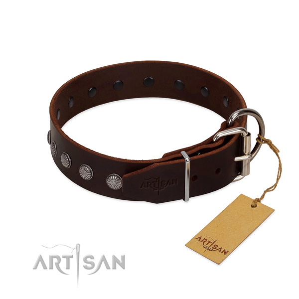 Designer genuine leather collar for daily walking your dog