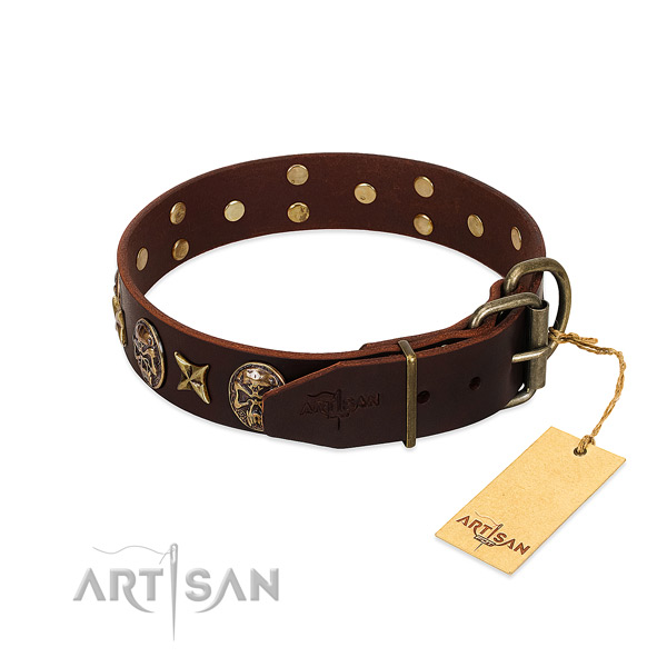 Full grain leather dog collar with durable hardware and studs