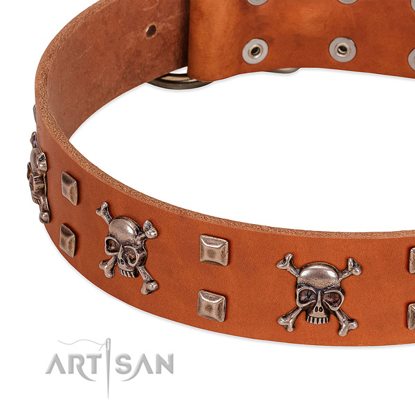 Unique leather collar for your doggie