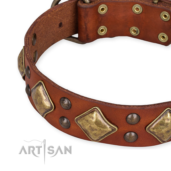 Leather collar with corrosion proof traditional buckle for your impressive pet
