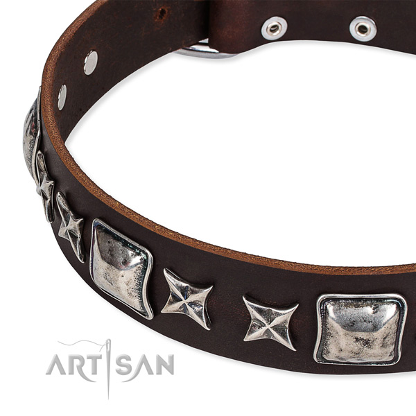 Walking studded dog collar of high quality full grain natural leather