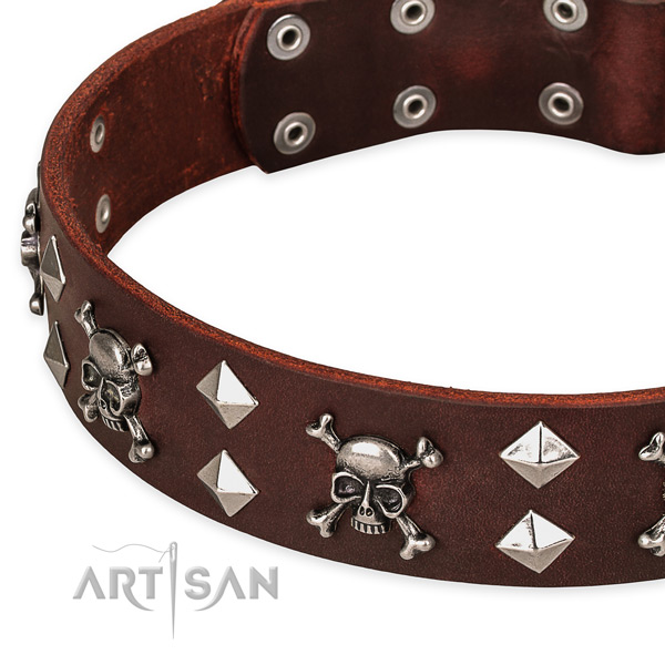 Comfortable wearing studded dog collar of top notch full grain leather