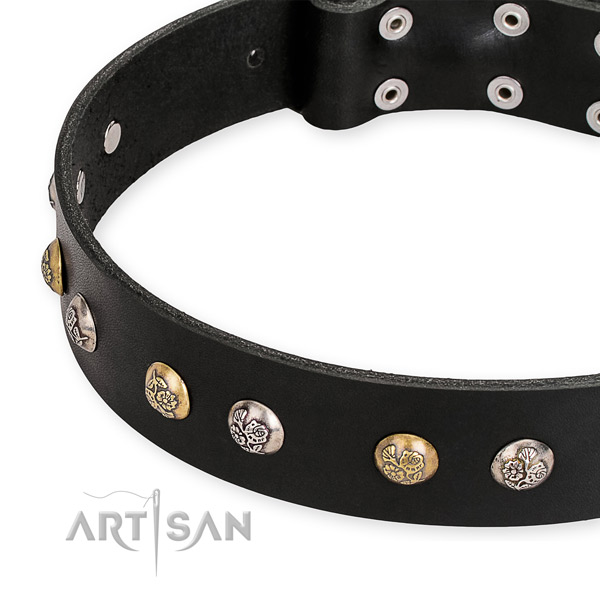 Full grain natural leather dog collar with stunning reliable studs