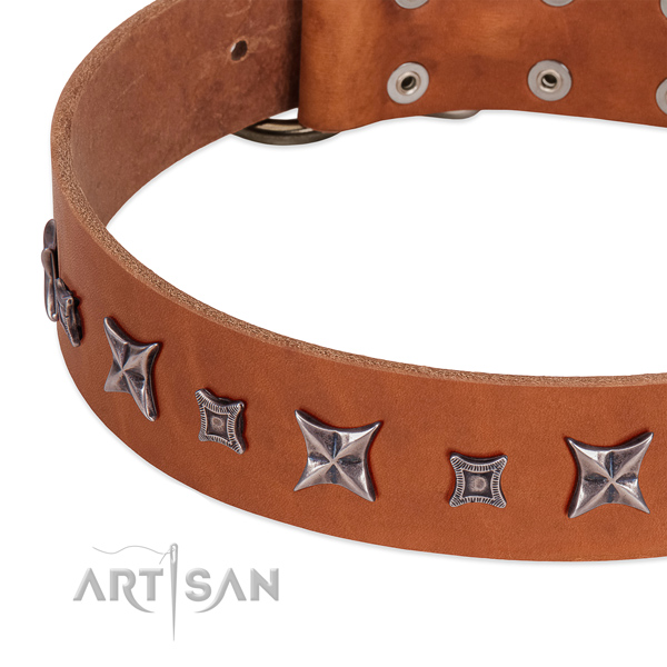Inimitable genuine leather collar for your lovely pet