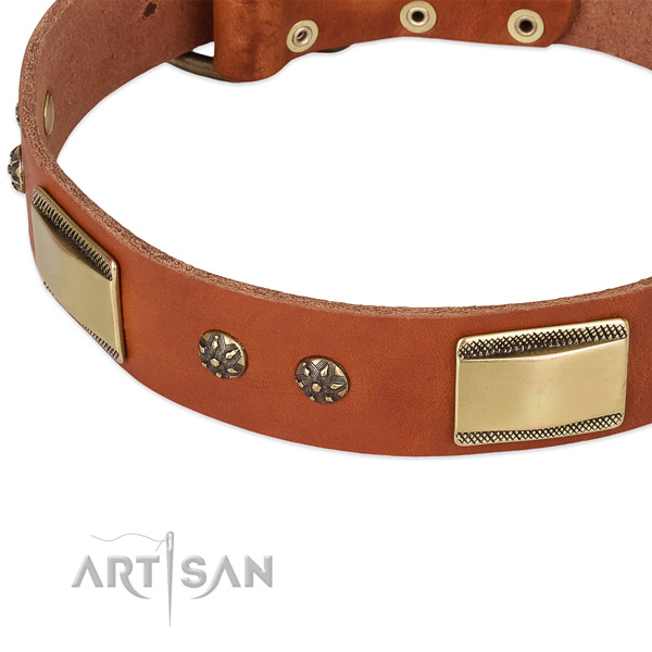 Rust resistant buckle on full grain leather dog collar for your four-legged friend
