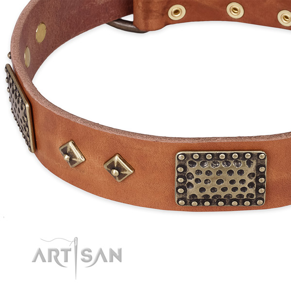Rust-proof adornments on natural leather dog collar for your four-legged friend