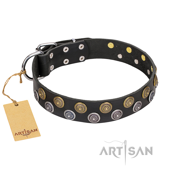 Comfortable wearing dog collar of top quality natural leather with decorations