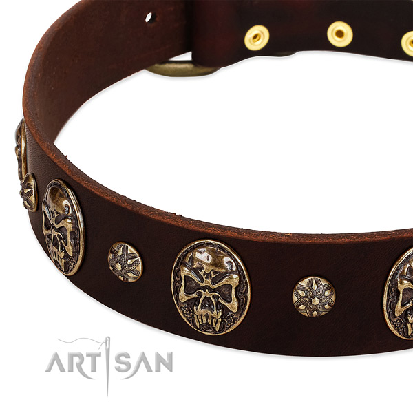 Rust resistant traditional buckle on full grain natural leather dog collar for your canine