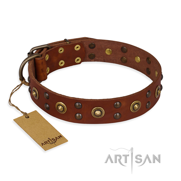 Best quality genuine leather dog collar with strong fittings