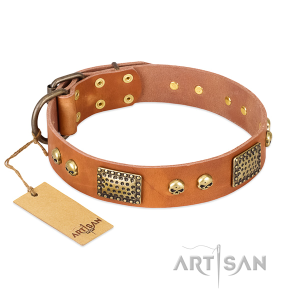 Easy adjustable full grain genuine leather dog collar for stylish walking your canine