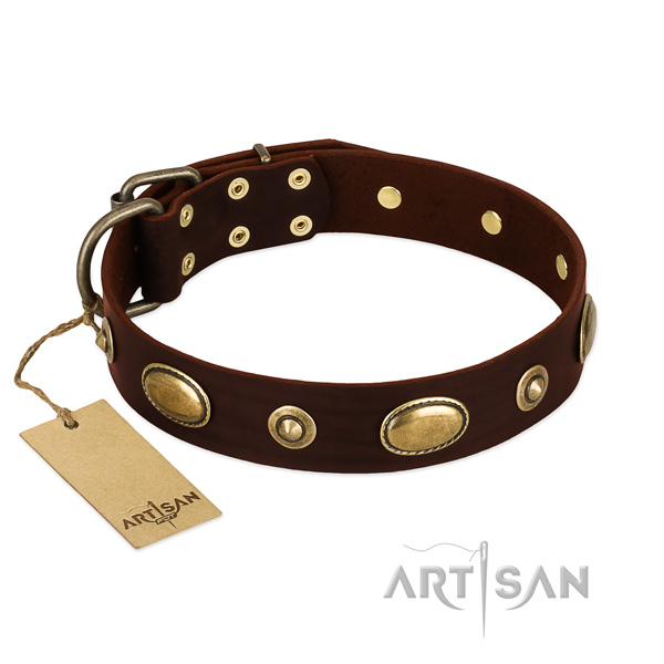 Stylish genuine leather collar for your canine