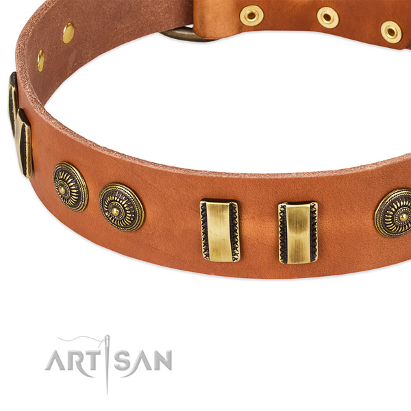 Rust-proof traditional buckle on leather dog collar for your dog