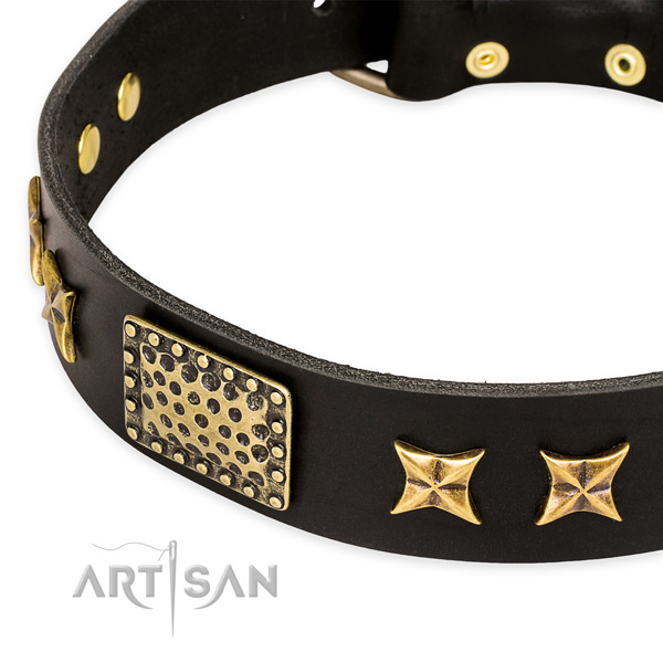 Full grain genuine leather collar with rust-proof hardware for your impressive pet