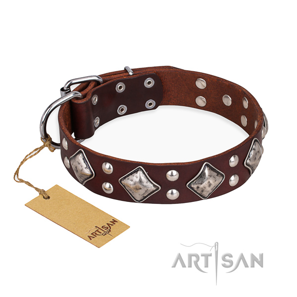 Comfortable wearing stunning dog collar with durable traditional buckle