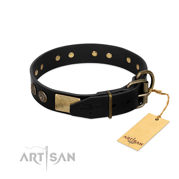 Rust-proof adornments on full grain natural leather dog collar for your canine