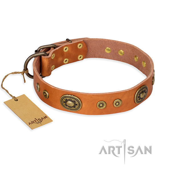 Full grain natural leather dog collar made of flexible material with rust resistant fittings