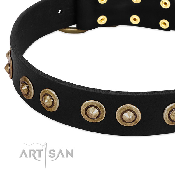 Reliable studs on full grain genuine leather dog collar for your canine