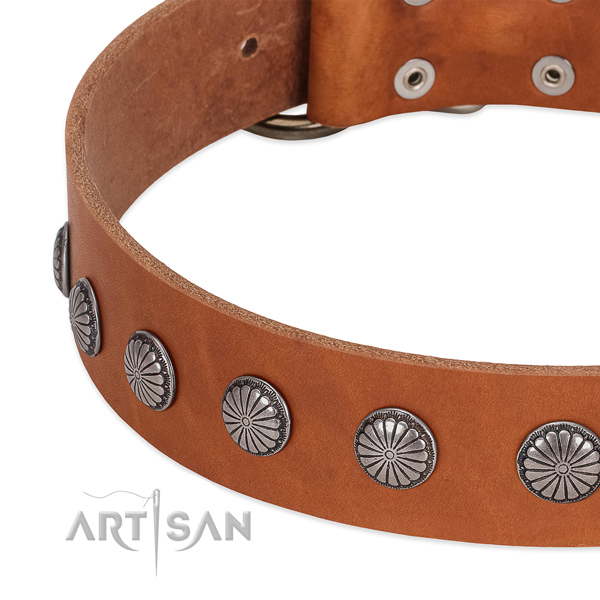 Best quality leather dog collar with adornments for daily use