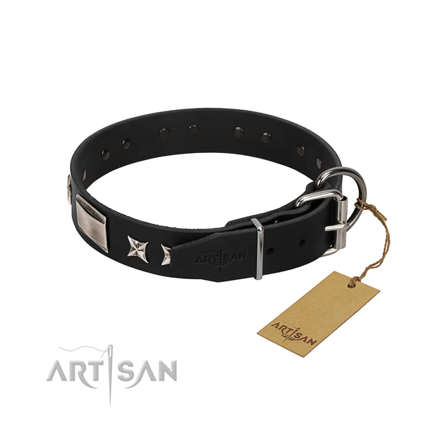High quality leather dog collar with strong fittings