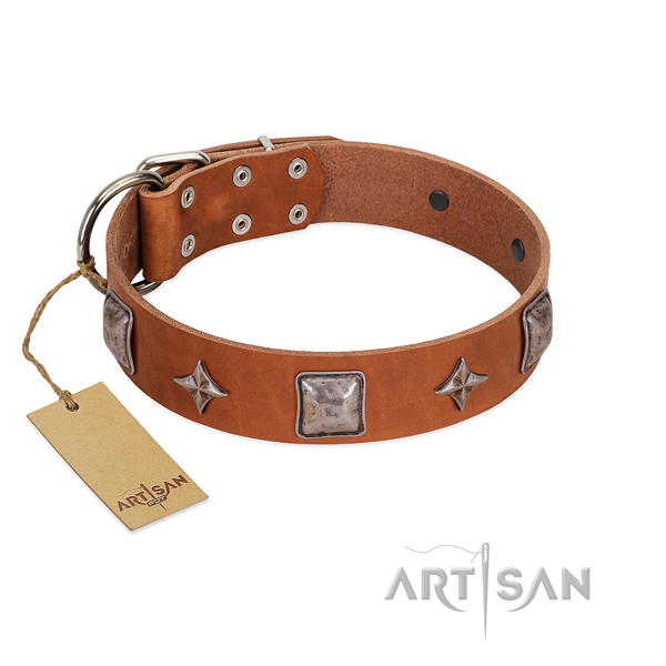 Soft natural leather dog collar with studs for daily walking
