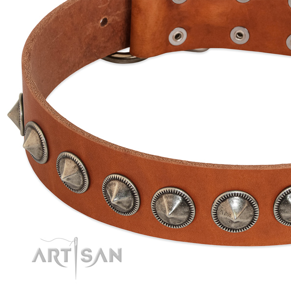 Handy use adorned natural leather collar for your doggie