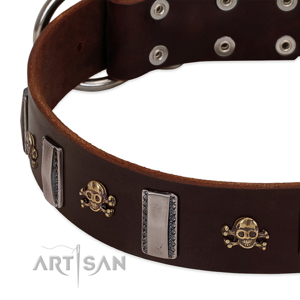 Top quality dog collar of full grain leather with decorations