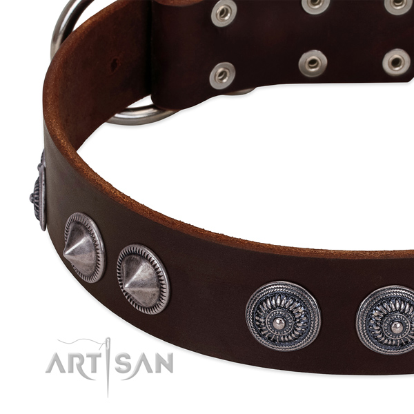 Top rate full grain natural leather dog collar with designer decorations