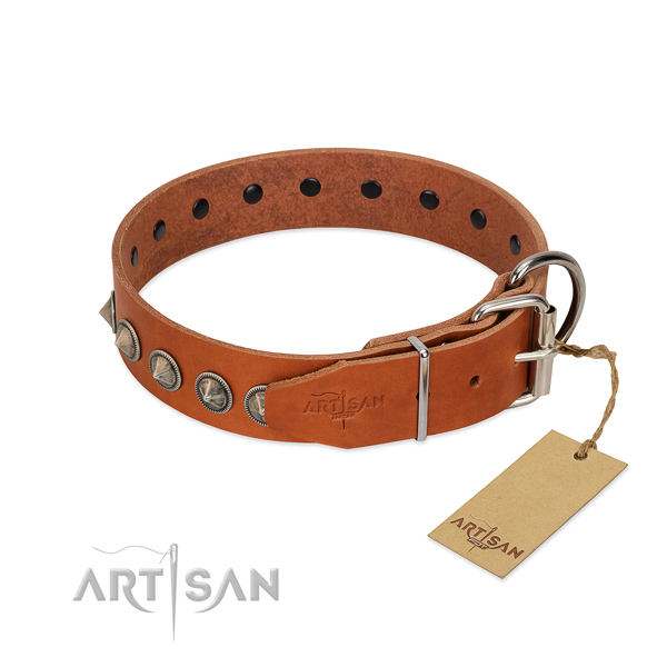 Fancy walking natural leather dog collar with trendy studs