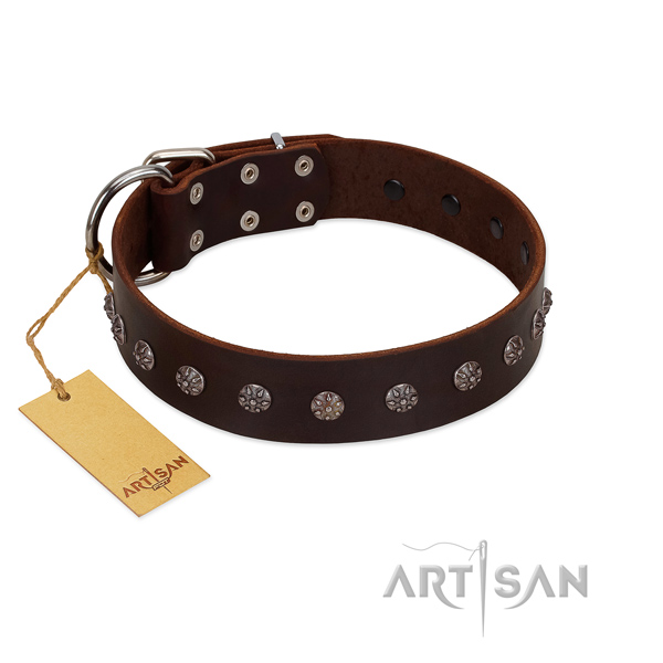 Walking genuine leather dog collar with inimitable decorations